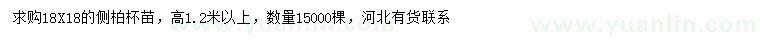 求購高1.2米以上側(cè)柏