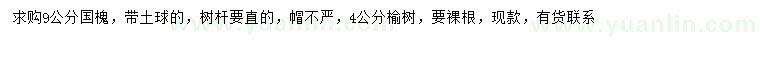 求購9公分國槐、4公分榆樹(shù)