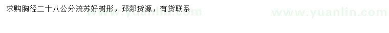 求購(gòu)胸徑28公分流蘇