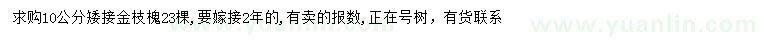 求購10公分金枝槐