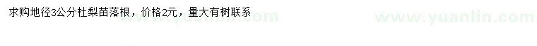 求購地徑3公分杜梨