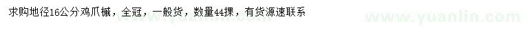 求購地徑16公分雞爪槭