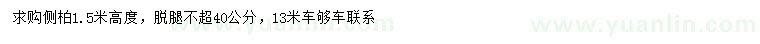求購高1.5米側(cè)柏