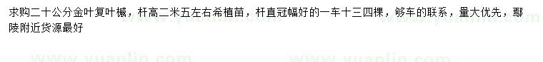 求購20公分金葉復葉槭