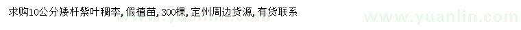 求購10公分紫葉稠李