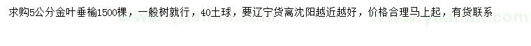 求購5公分金葉垂榆