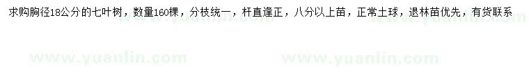 求購胸徑18公分七葉樹