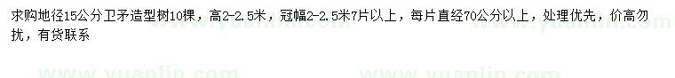 求購地徑15公分造型衛(wèi)矛
