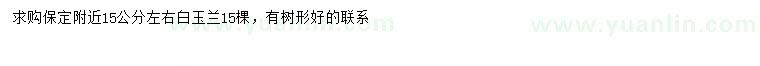 求購15公分左右白玉蘭