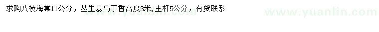 求購11公分八棱海棠、高3米叢生暴馬丁香