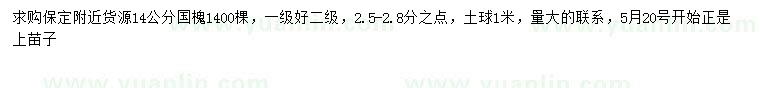 求購14公分國槐