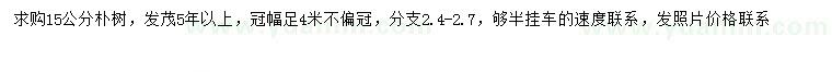 求購15公分樸樹