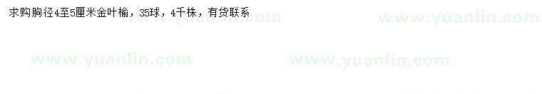 求購(gòu)胸徑4-5公分金葉榆