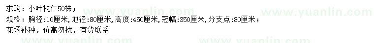 求購(gòu)胸徑10公分小葉欖仁