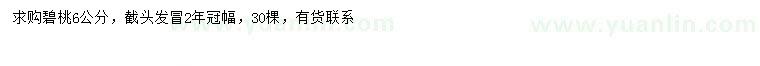 求購6公分碧桃