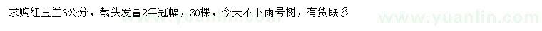 求購6公分紅玉蘭