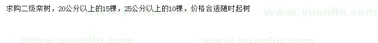 求購20公分以上欒樹