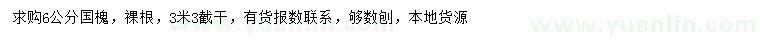 求購(gòu)6公分國(guó)槐