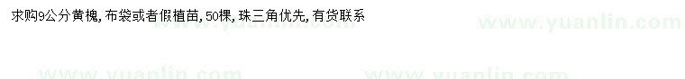 求購9公分黃槐