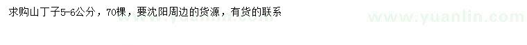 求購5-6公分山丁子