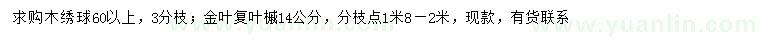 求購(gòu)60公分以上木繡球、14公分金葉復(fù)葉槭