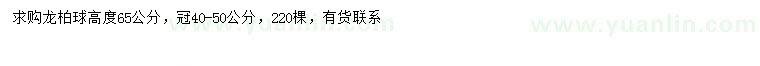 求購冠幅40-50公分龍柏球