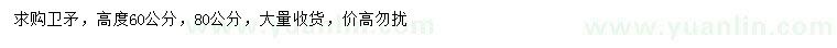 求購(gòu)高60、80公分衛(wèi)矛