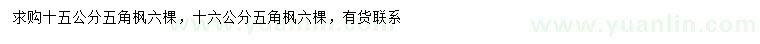 求購15、16公分五角楓
