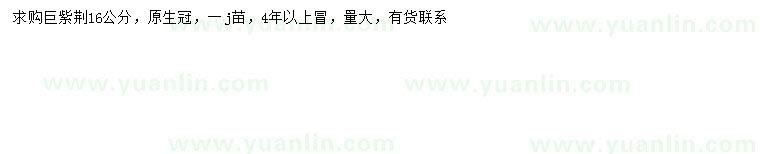 求購(gòu)16公分巨紫荊