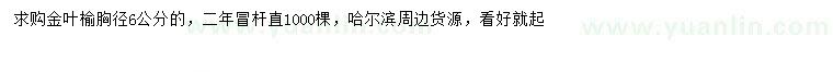 求購胸徑6公分金葉榆