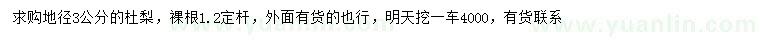 求購(gòu)地徑3公分杜梨