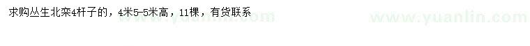 求購(gòu)高4.5-5米叢生北欒