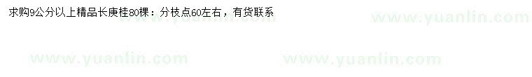 求購(gòu)9公分以上長(zhǎng)庚桂