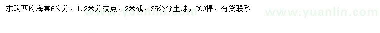 求購6公分西府海棠