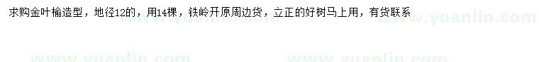 求購(gòu)地徑12公分造型金葉榆