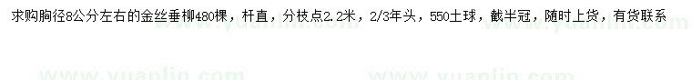 求購胸徑8公分左右金絲垂柳