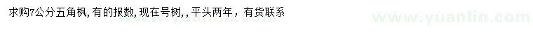 求購7公分五角楓