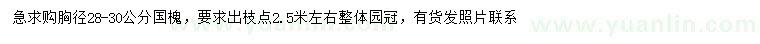 求購胸徑28-30公分國槐
