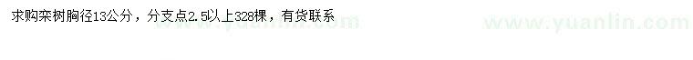 求購(gòu)胸徑13公分欒樹