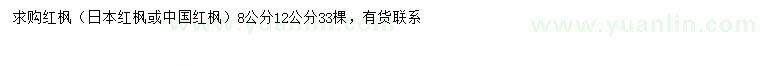求購8、12公分紅楓