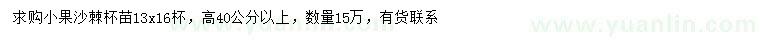 求購(gòu)高40公分以上沙棘