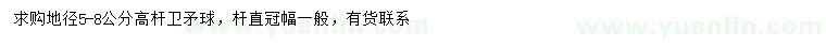 求購地徑5-8公分高桿衛(wèi)衛(wèi)矛球