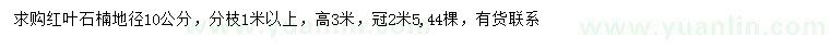 求購地徑10公分紅葉石楠