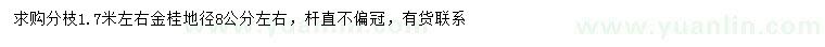 求購地徑8公分左右金桂