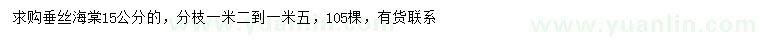 求購(gòu)15公分垂絲海棠