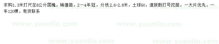 求購1.3米量8公分國槐