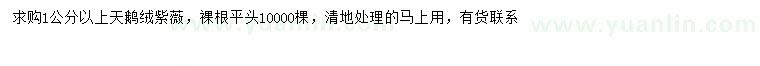 求購1公分以上天鵝絨紫薇