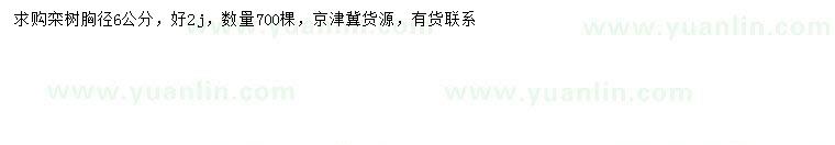 求購胸徑6公分欒樹