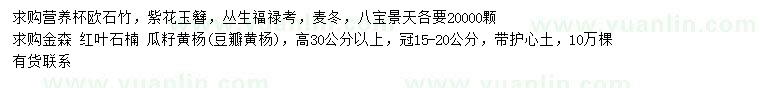 求購(gòu)歐石竹、紫花玉簪、叢生福祿考等