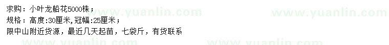 求購高30公分小葉龍船花